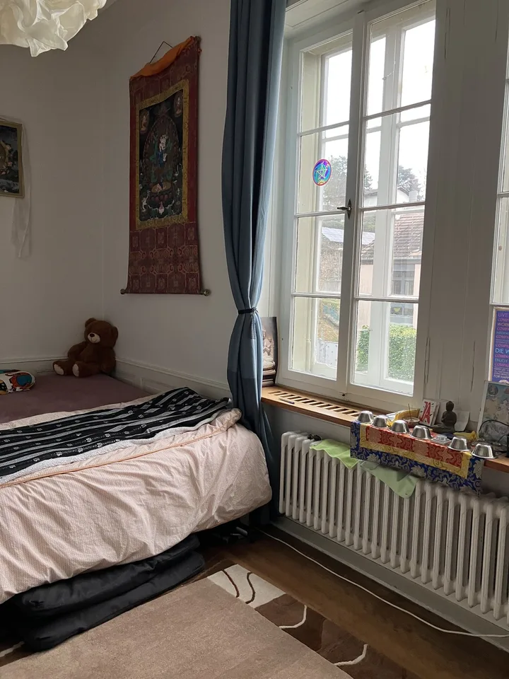 2 Zimmer- Altbauwohnung mit Terrasse – Foto 5 von 8