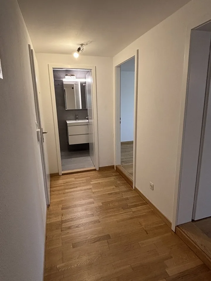 Sanierte 2-Zimmerwohnung an zentraler Lage in Allschwil – Foto 6 von 6