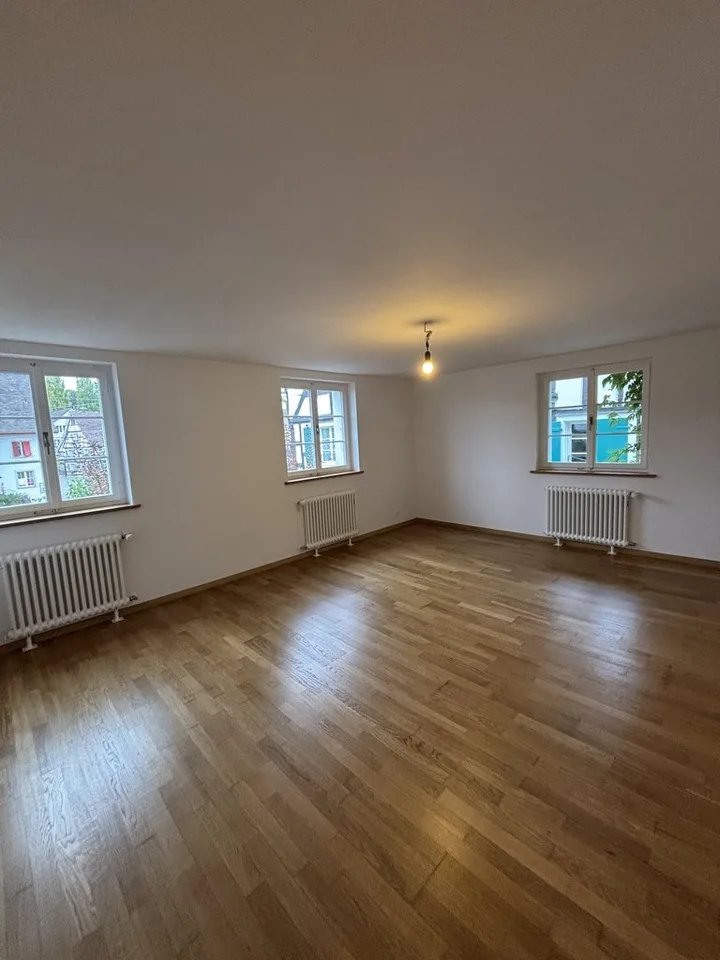 Sanierte 2-Zimmerwohnung an zentraler Lage in Allschwil – Foto 5 von 6