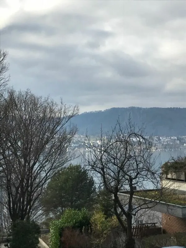 4 Zimmer Wohnung in Zollikon – Foto 9 von 9