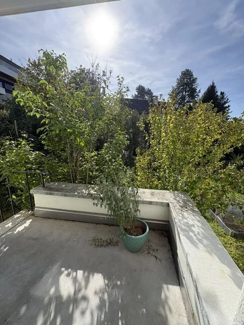 Nachmieter für Wohnung in Zollikon gesucht – Foto 5 von 13