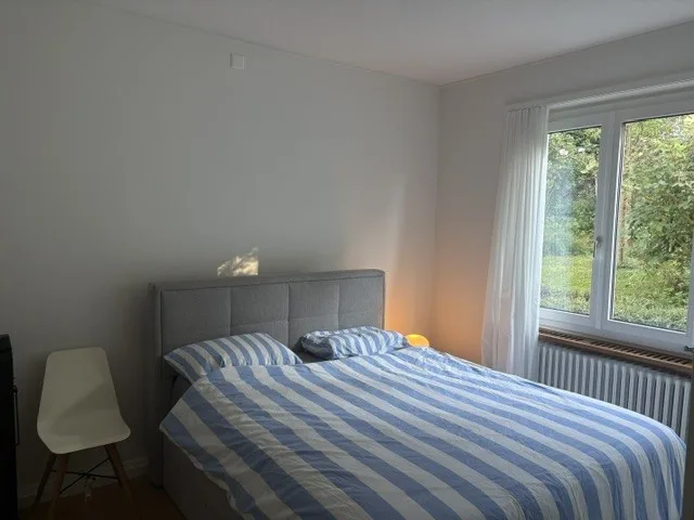 Nachmieter für Wohnung in Zollikon gesucht – Foto 8 von 13