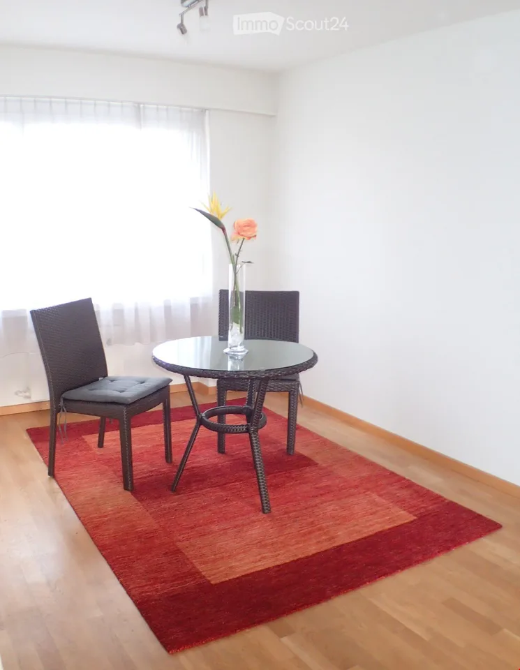 charmante möblierte 3.5-Zimmer-Wohnung befristet bis 30.06.27 – Foto 5 von 11