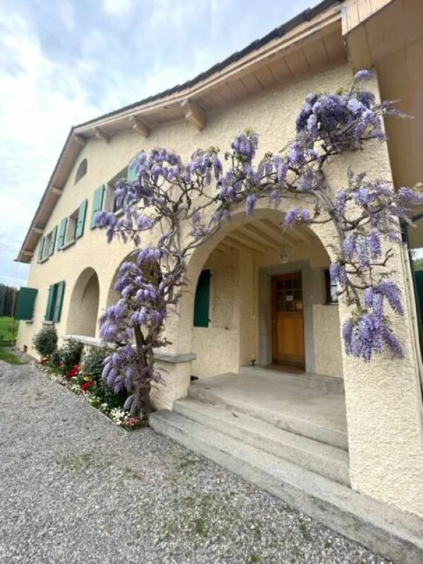 Wohnung mit 5 Zimmern in Plan-les-Ouates – Foto 2 von 30