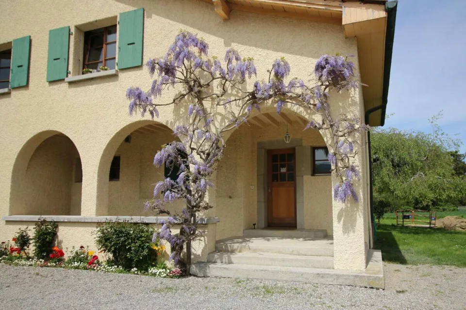 Wohnung mit 5 Zimmern in Plan-les-Ouates – Foto 25 von 30