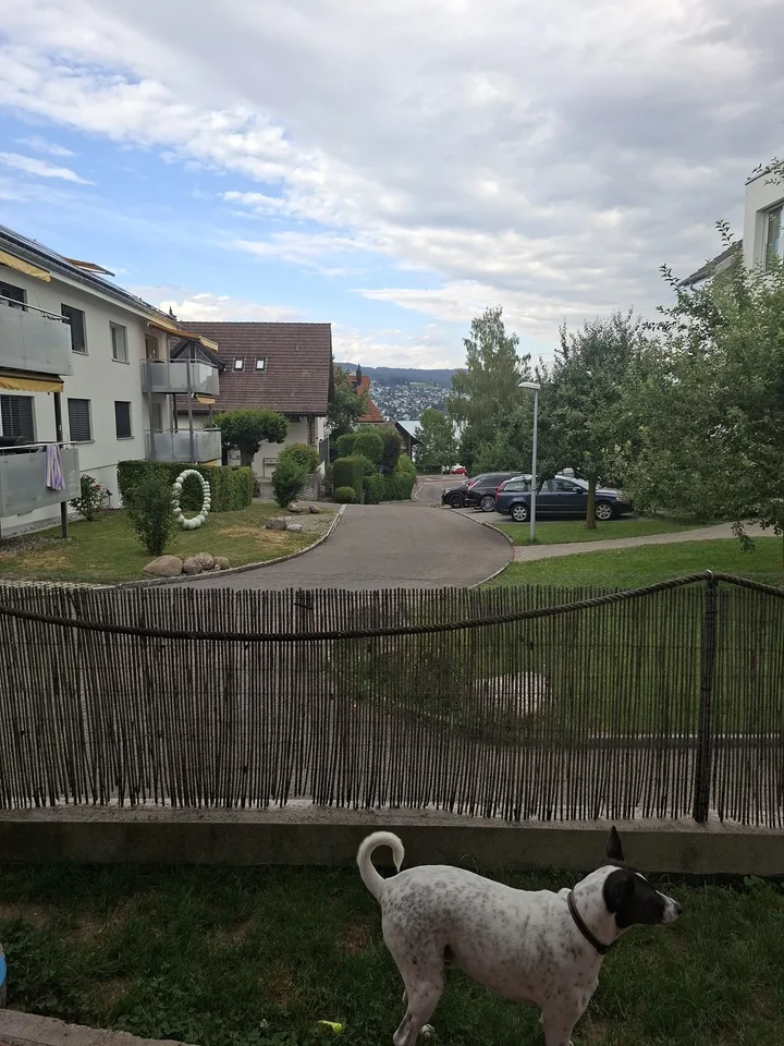 Camera in condivisione, 8800 Thalwil – foto 8 di 13