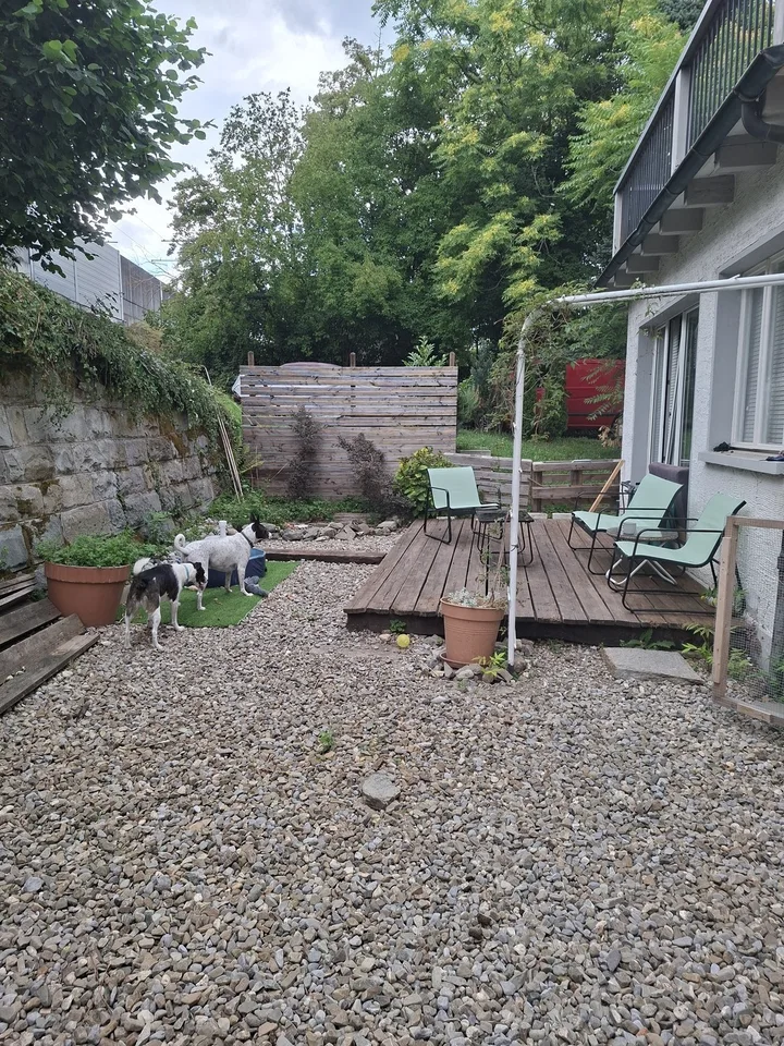 Camera in condivisione, 8800 Thalwil – foto 10 di 13