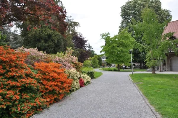 Klein aber fein: 2.5 Zimmer mitten in Wädenswil – Foto 8 von 9