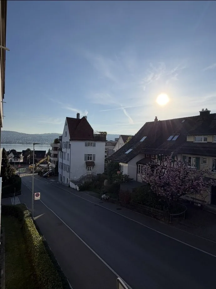 Monolocale Thalwil vista lago – foto 2 di 10
