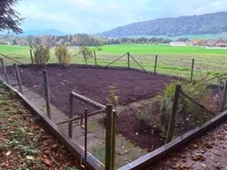 Häuschen am Waldrand – Foto 4 von 5