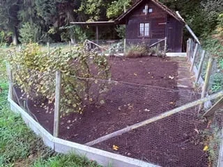 Häuschen am Waldrand – Foto 3 von 5