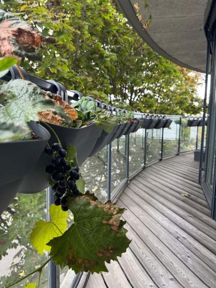 First Row am See mit Seeblick möblierte 2.5 Zimmer Wohnung 17 min mit ÖV zum Züri HB – Foto 12 von 13