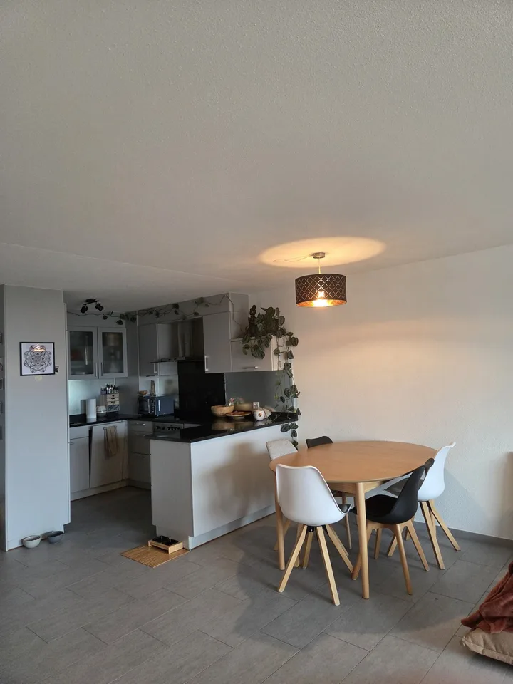 Befristete 2 1/2 Zimmer Wohnung mit Cat Sitter Aufgabe – Foto 3 von 4