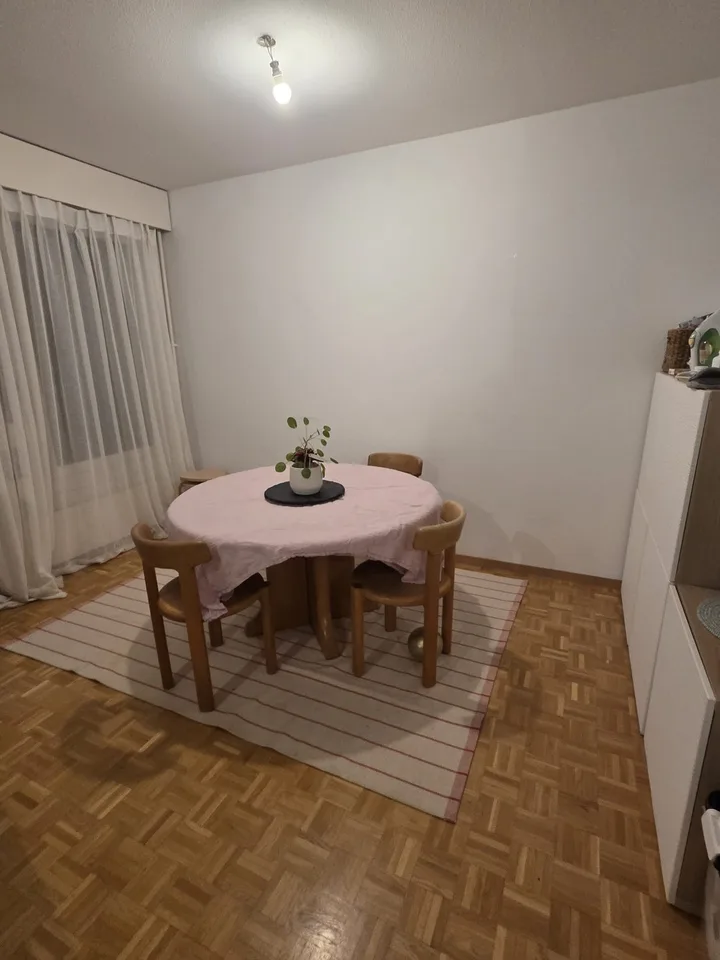 Schönes 6-Zimmer-Apartment mit 108 m², 2 Balkonen und Parkblick – Foto 7 von 7