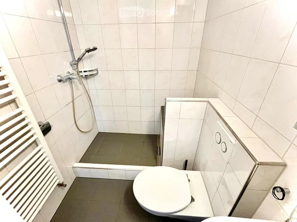 Apartment in Liestal – photo 7 of 10