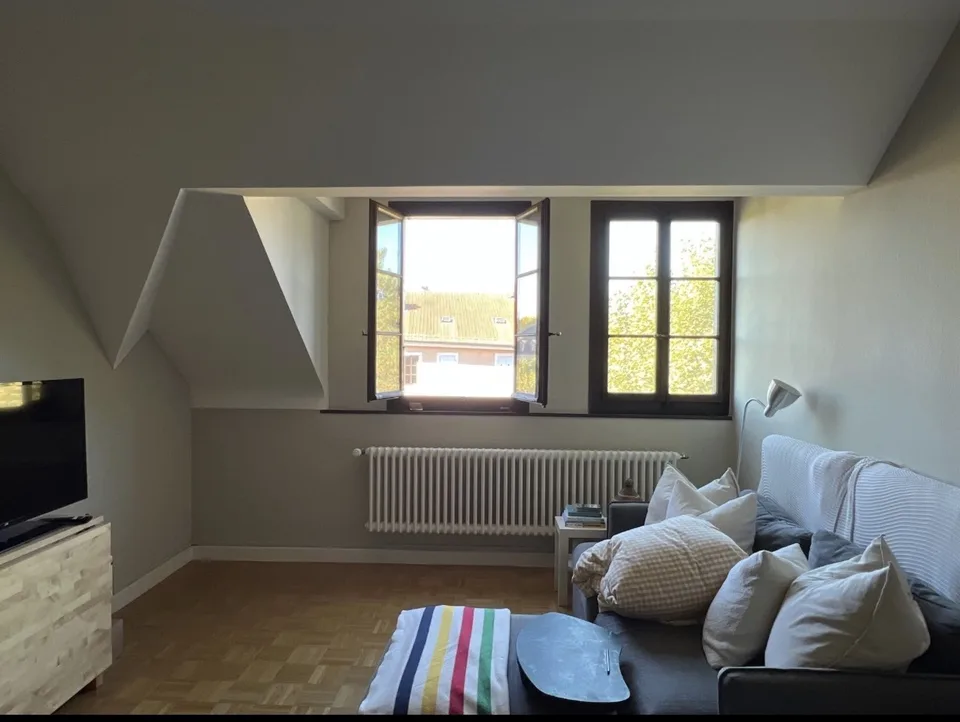 Übernahme des Mietvertrags 3 Zimmer in Carouge – Foto 3 von 5