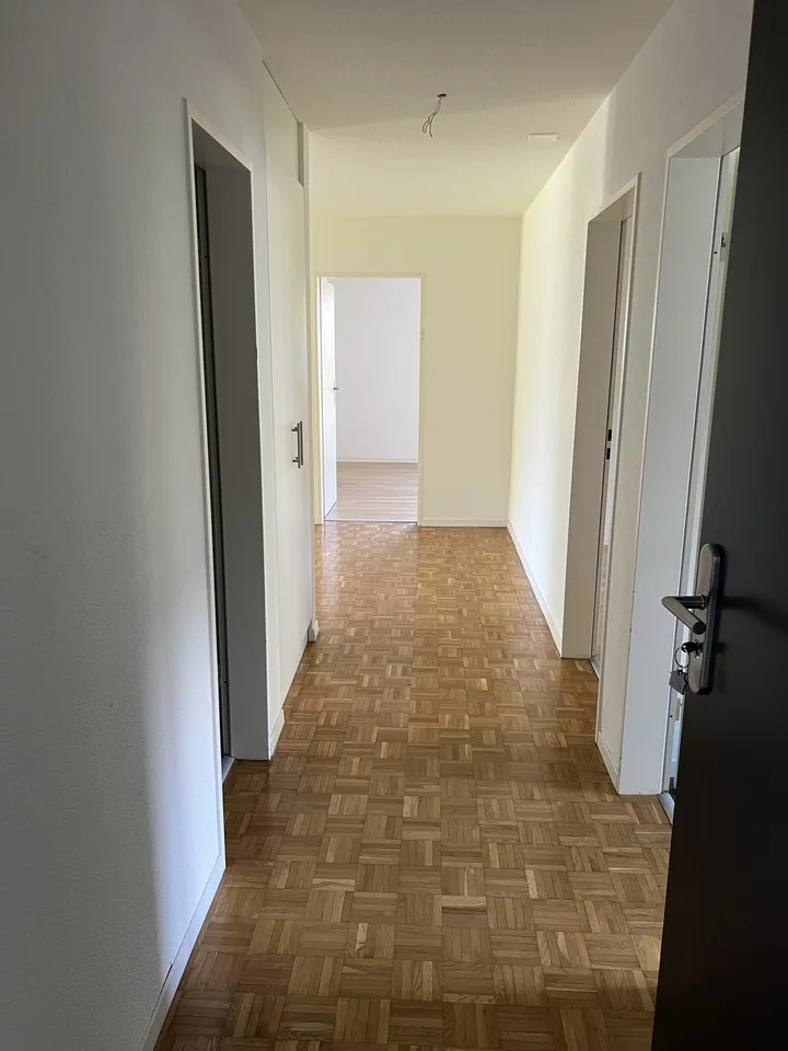Frisch renovierte 3.5-Zimmerwohnung mit eigenem Gartensitzplatz in Oberengstringen – Foto 2 von 13