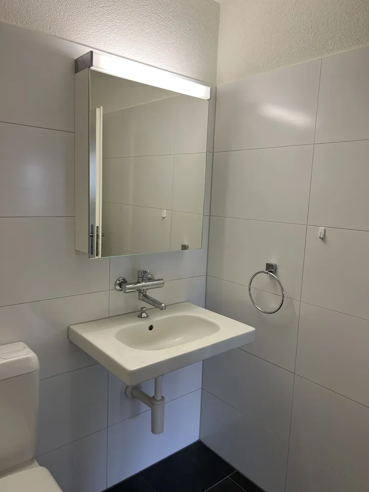 Frisch renovierte 3.5-Zimmerwohnung mit eigenem Gartensitzplatz in Oberengstringen – Foto 5 von 13