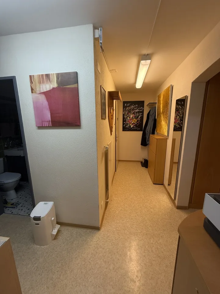 2 Zimmer Wohnung in Kollbrunn – Foto 3 von 13