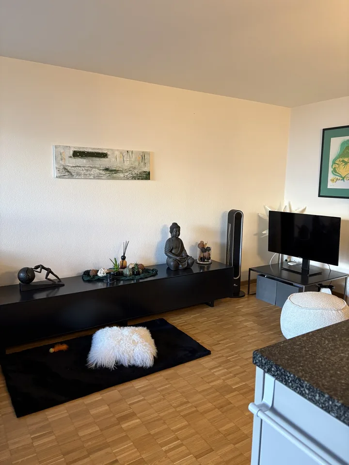 Gemütliche 2,5 Zimmer Wohnung – Foto 4 von 7