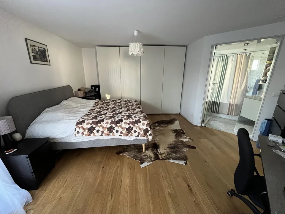 Nachmieter gesucht: 4.5-Zimmer-Wohnung mit Cheminée in Wipkingen per 1. Januar 2027 – Foto 6 von 10
