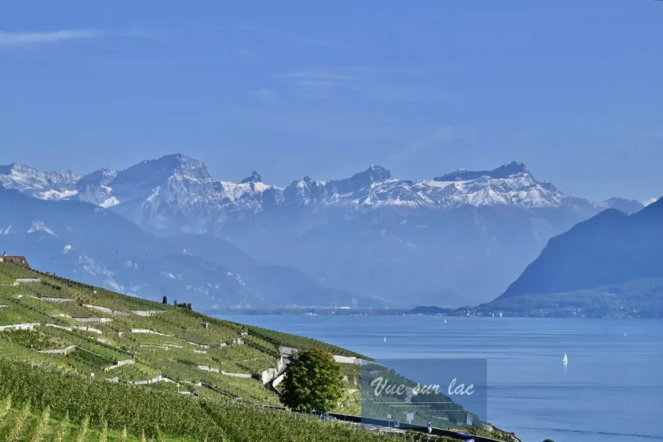 Dernier appartement disponible avec magnifique vue sur lac et les Alp – photo 4 sur 28