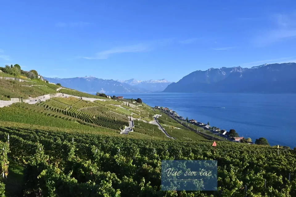 Dernier appartement disponible avec magnifique vue sur lac et les Alp – photo 13 sur 28