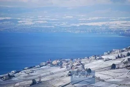 Dernier appartement disponible avec magnifique vue sur lac et les Alp – photo 11 sur 28