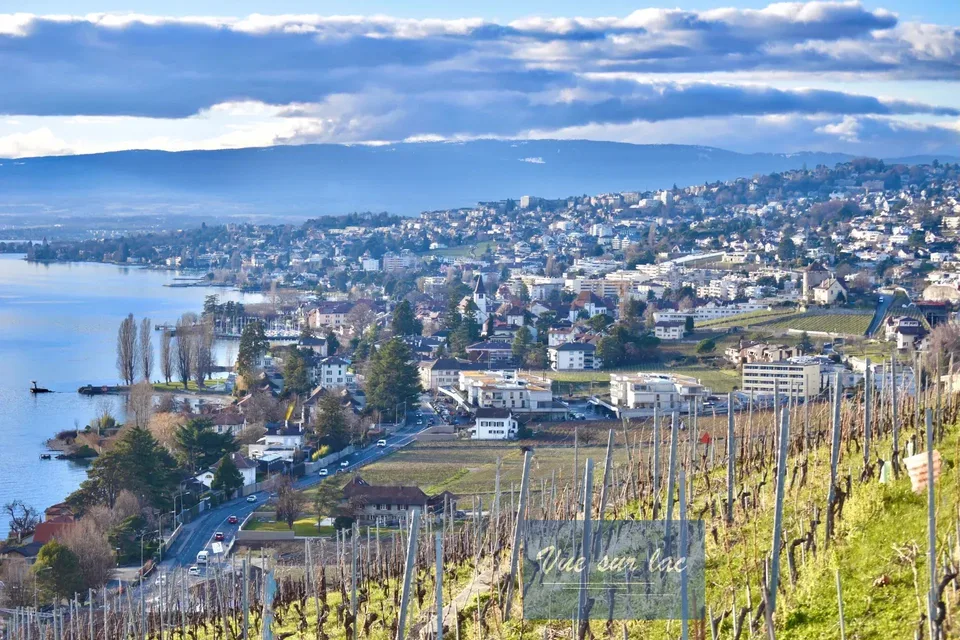 Dernier appartement disponible avec magnifique vue sur lac et les Alp – photo 3 sur 28