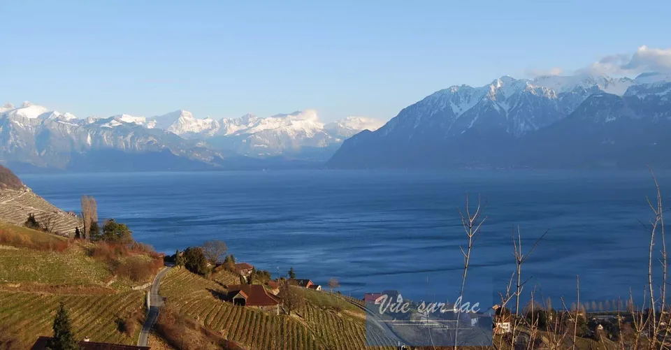 Dernier appartement disponible avec magnifique vue sur lac et les Alp – photo 12 sur 28