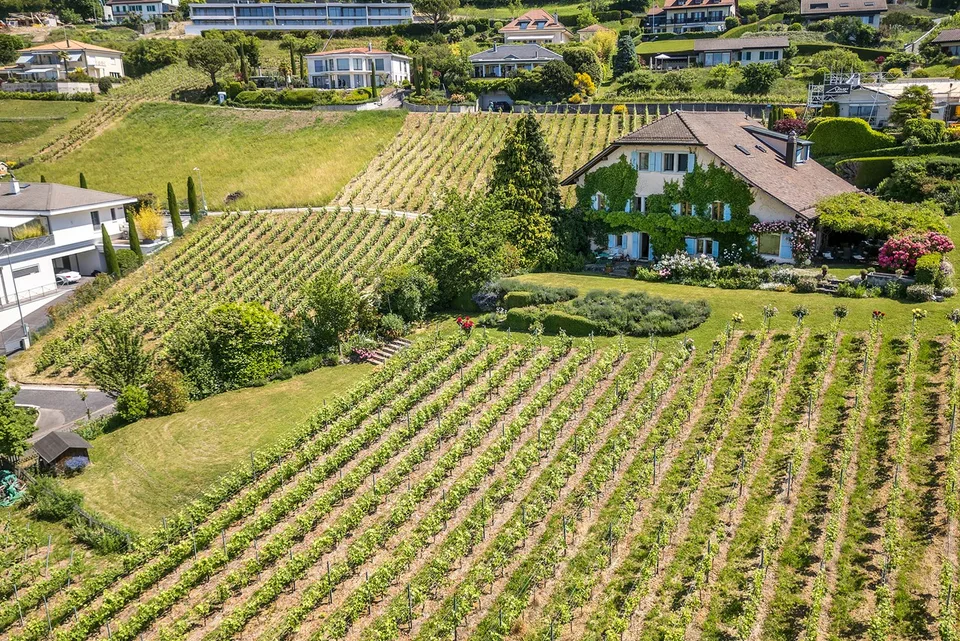 Exceptional residence in the heart of Lavaux – photo 2 of 26