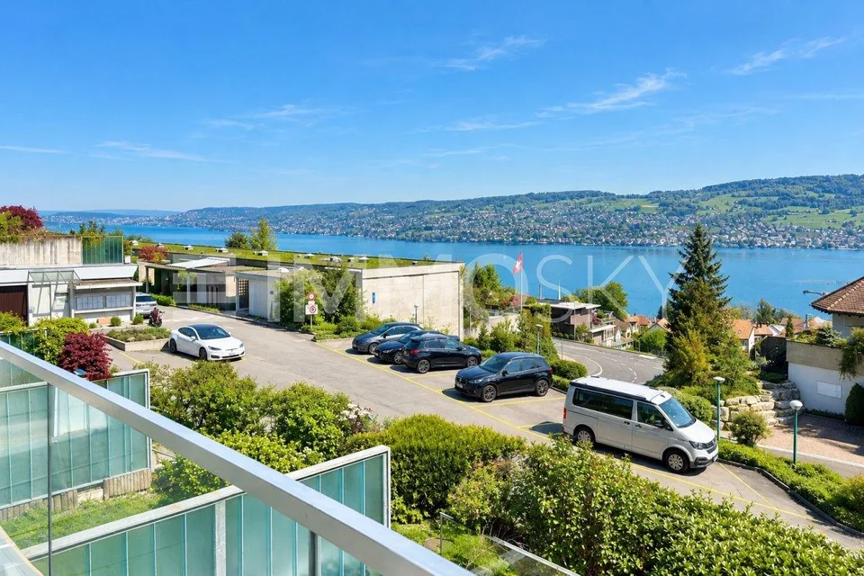 Votre nouveau foyer avec une vue panoramique sur Zurich jusqu'aux Alpes – photo 5 sur 21