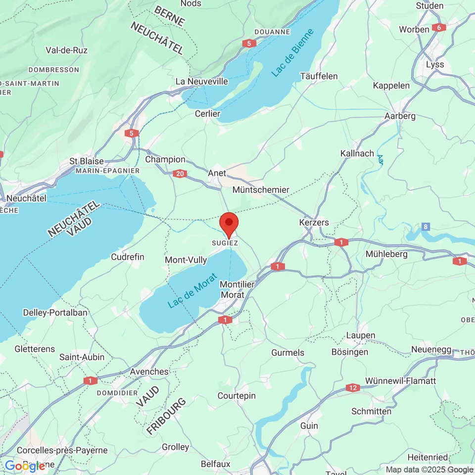Propriété de 8.5 pces avec piscine à Sugiez / FR – photo 18 sur 18