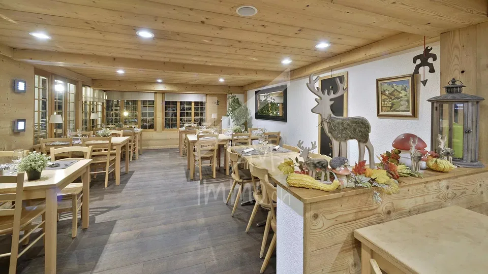 Hotel restaurant de charme aux Diablerets – photo 11 sur 13