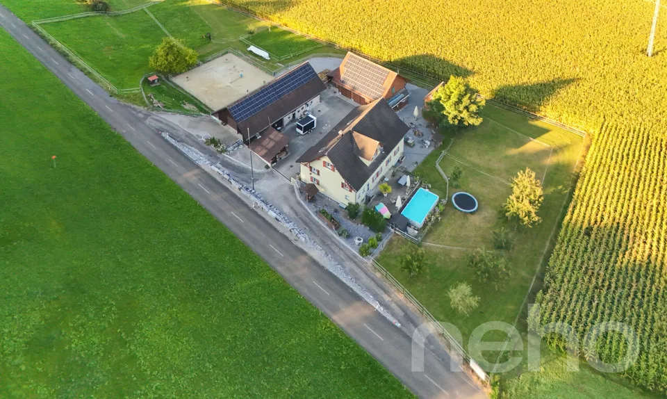 Ideal horse property with 3 apartments in Bischofszell – photo 13 of 19