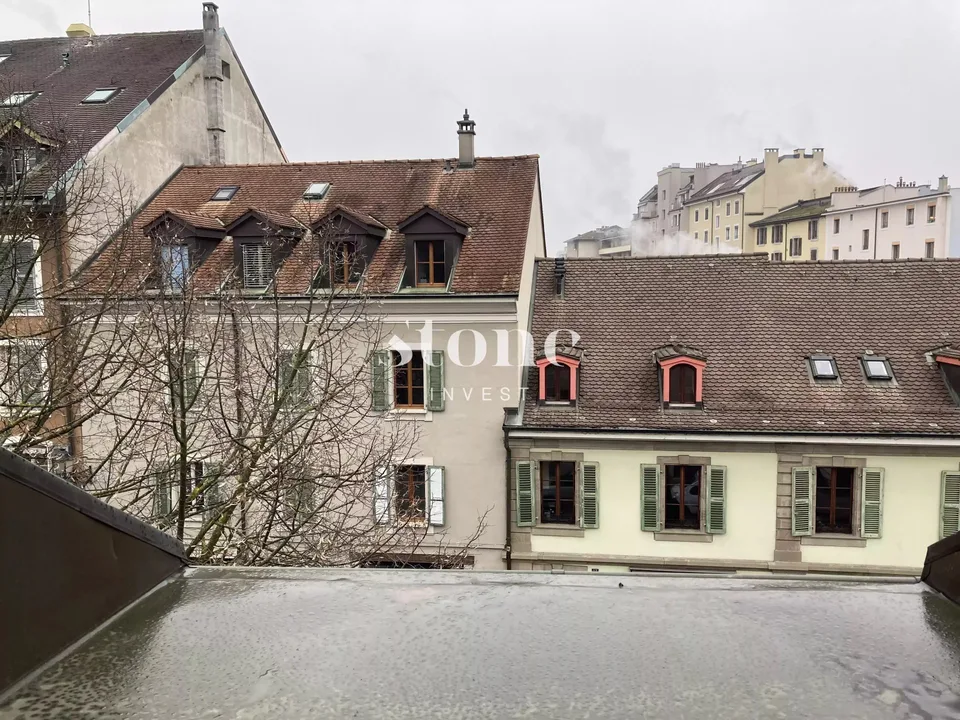 Magnifico DUPLEX al 3° piano a Carouge – foto 2 di 13