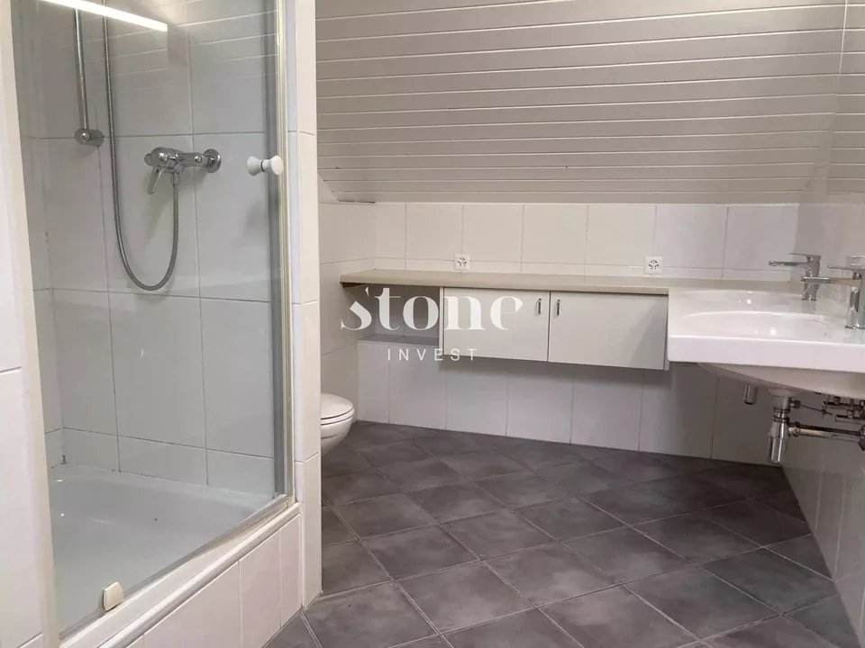 Magnifico DUPLEX al 3° piano a Carouge – foto 12 di 13