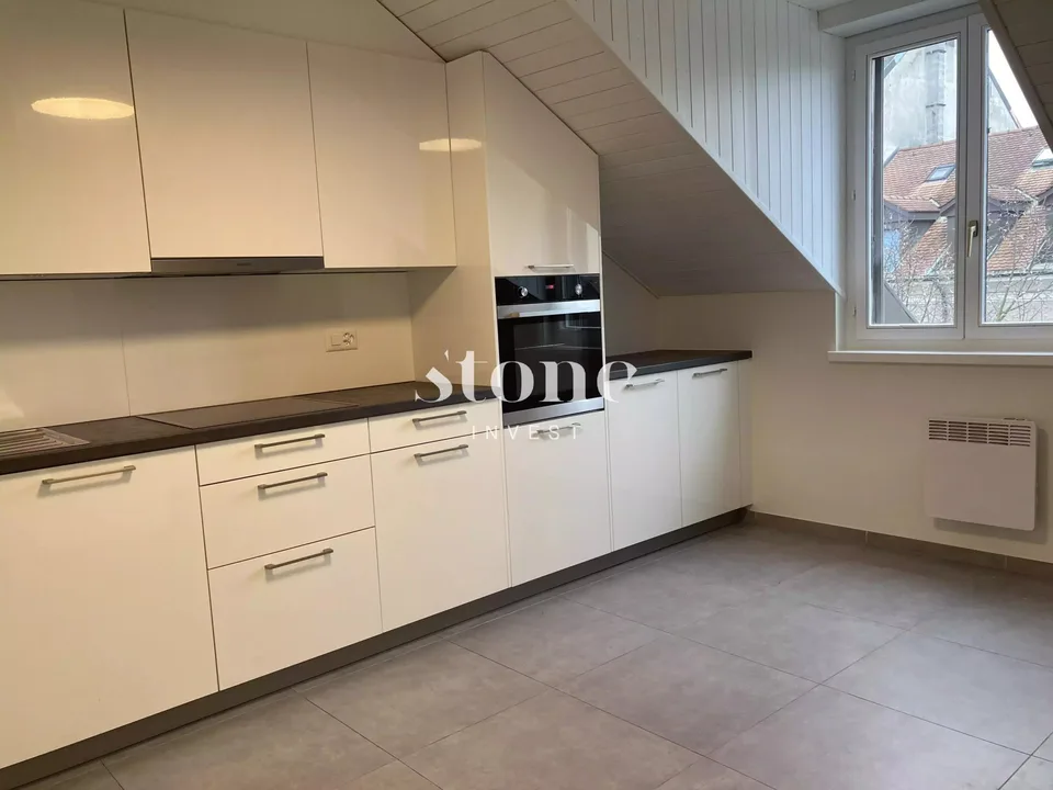 Magnifico DUPLEX al 3° piano a Carouge – foto 6 di 13