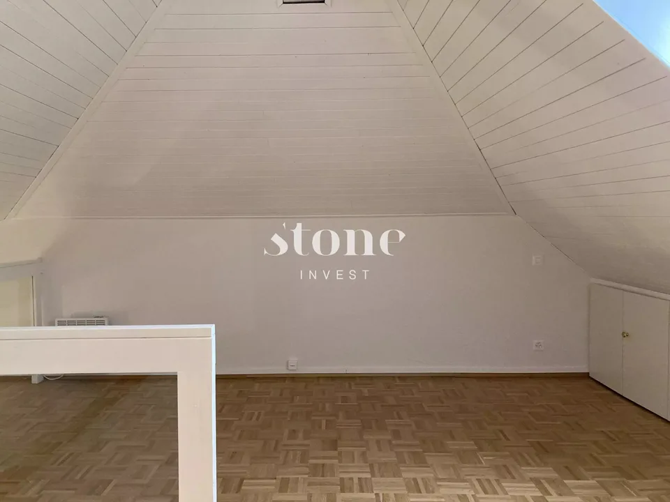 Magnifico DUPLEX al 3° piano a Carouge – foto 4 di 13