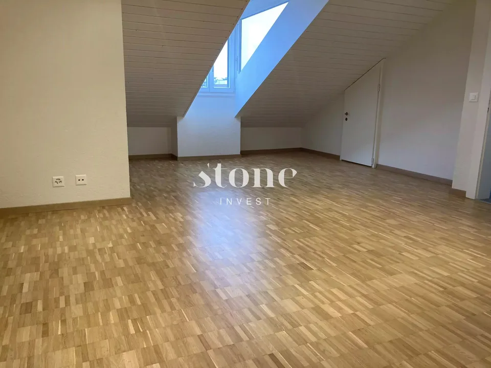 Magnifico DUPLEX al 3° piano a Carouge – foto 10 di 13