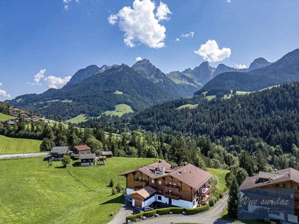 Sublime appartamento di lusso e panoramico a pochi minuti da Gstaad – foto 9 di 11