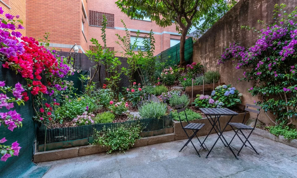 ANGEBOT - GERÄUMIGE 3.5 ZIMMER MIT 55 QM TERRASSE IN PARADISO – Foto 7 von 10