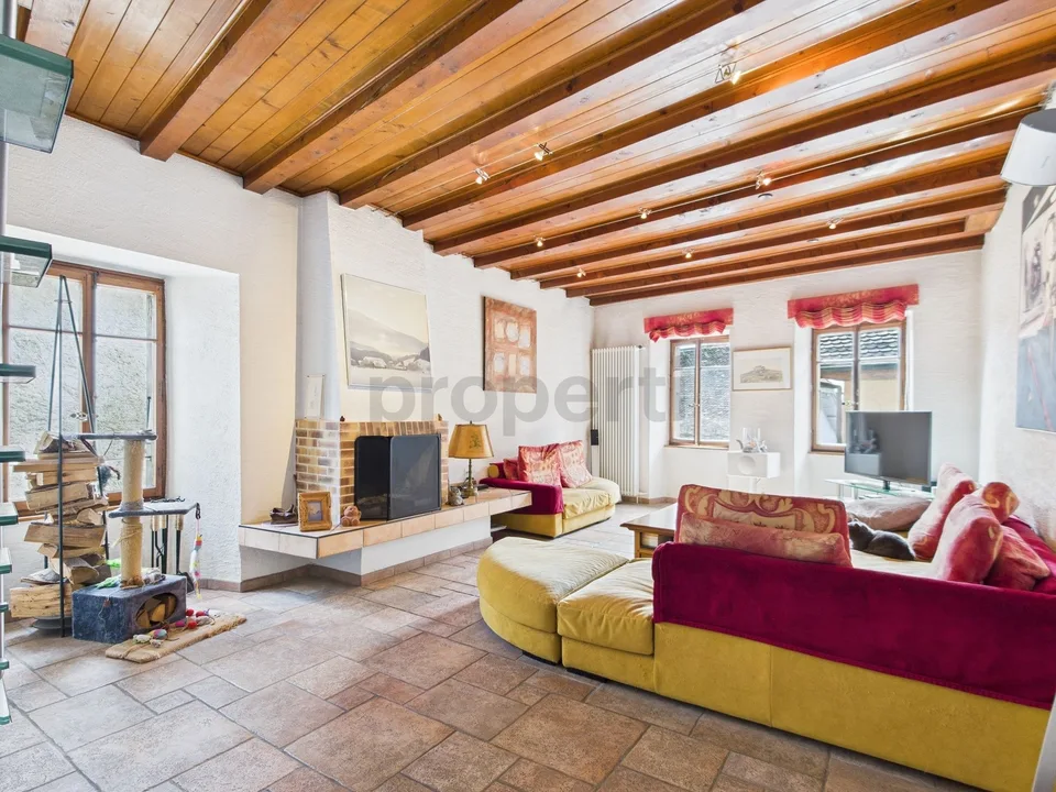 Grande maison de 11 pièces avec cachet - habitation, rendement ou projet mixte
