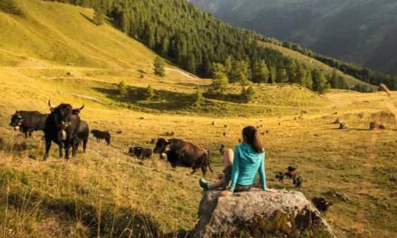Wunderschönes Chalet mit 6,5 Zimmern in Hérémence – Foto 5 von 11