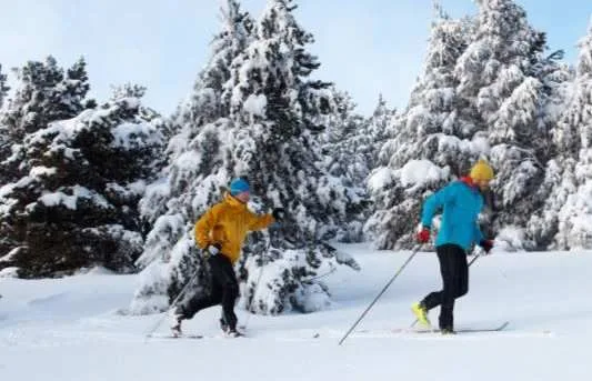 Wunderschönes Chalet mit 6,5 Zimmern in Hérémence – Foto 6 von 11