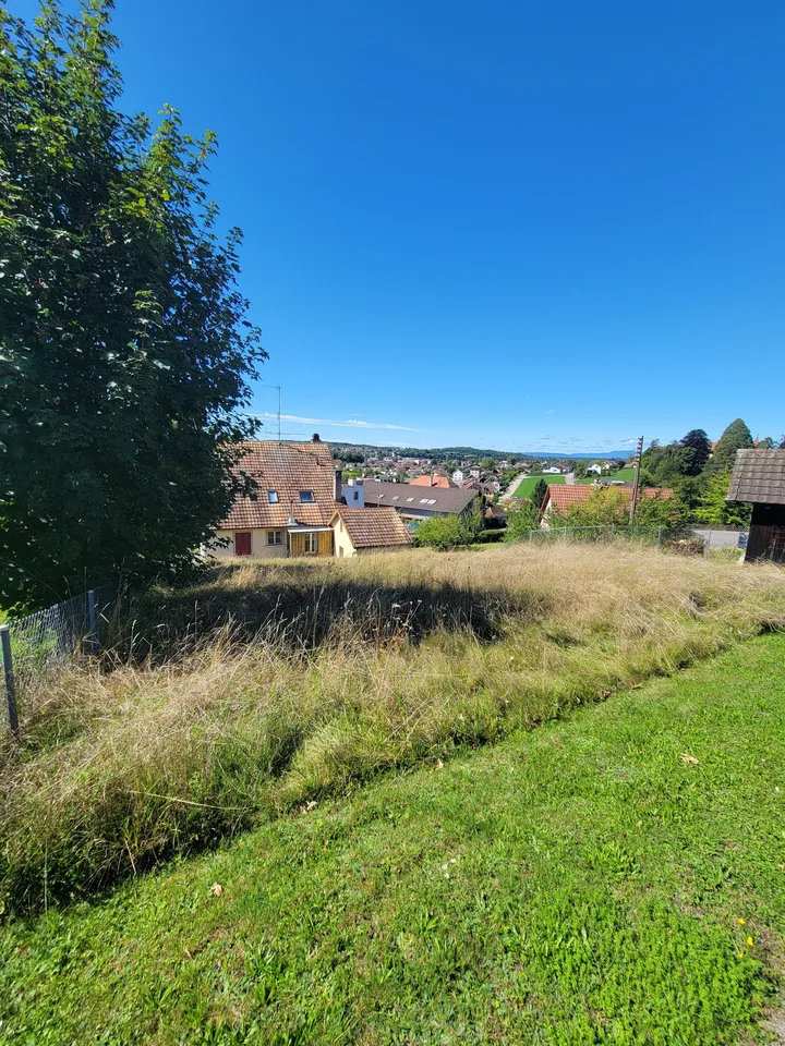 Opportunity: Small Income Building + Buildable Plot with Villa Plans Available