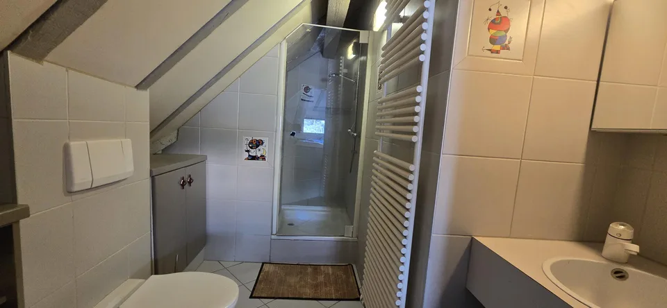Villa mit 8,5 Zimmern und 712m2 im Herzen von Sion – Foto 11 von 13