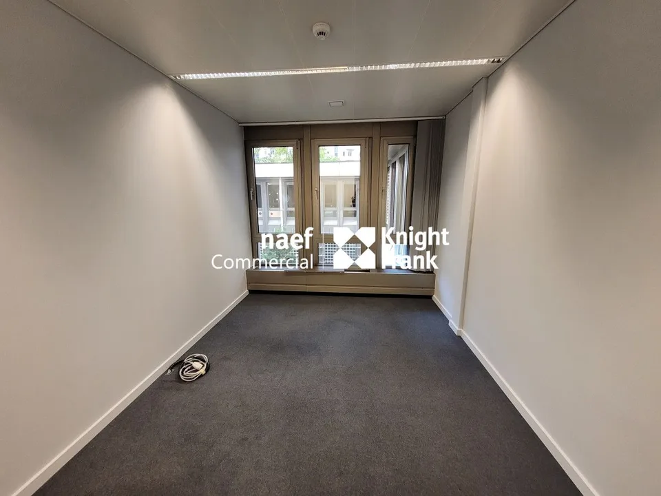Malagnou - Büro von 485 m² im Obergeschoss – Foto 8 von 11
