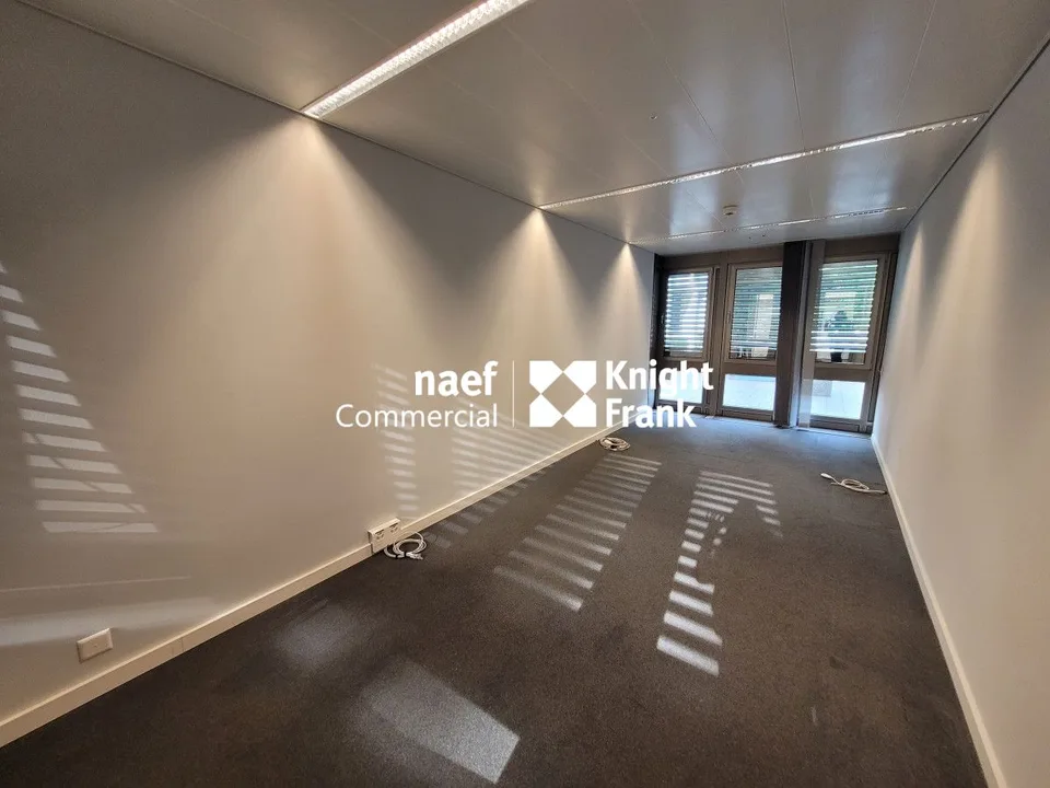 Malagnou - Büro von 485 m² im Obergeschoss – Foto 9 von 11