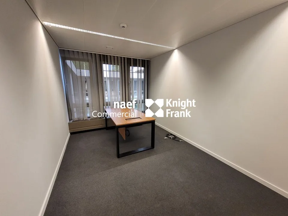 Malagnou - Büro von 485 m² im Obergeschoss – Foto 6 von 11